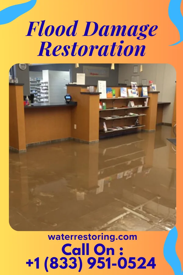 Flood Damage Restoration in East Grand Forks, MN