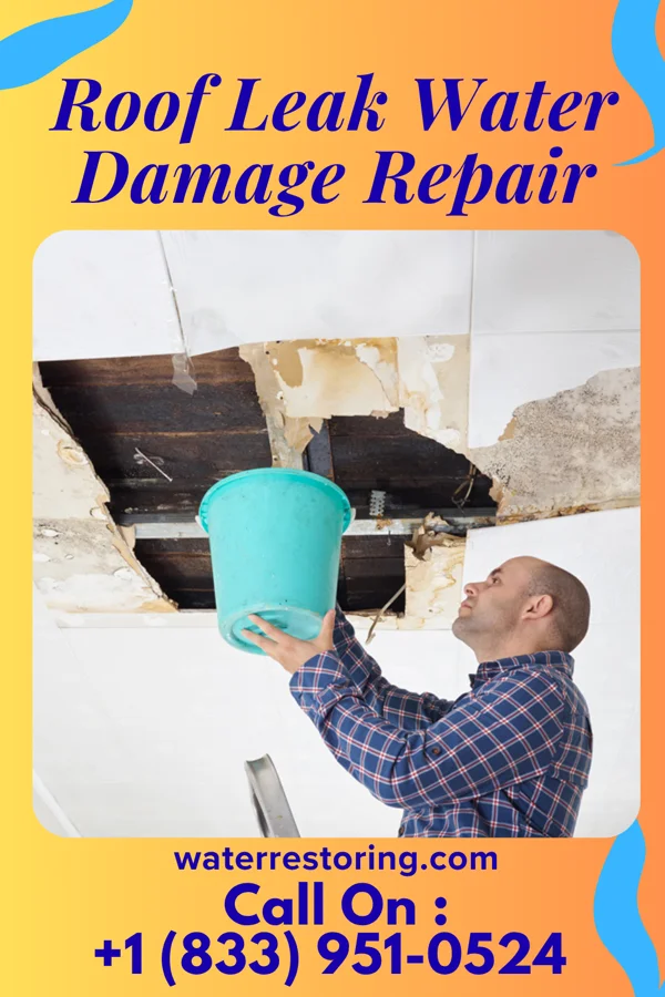 Roof Leak Water Damage Repair in East Grand Forks, MN