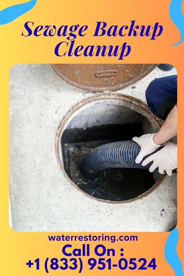 Sewage Backup Cleanup in East Grand Forks, MN