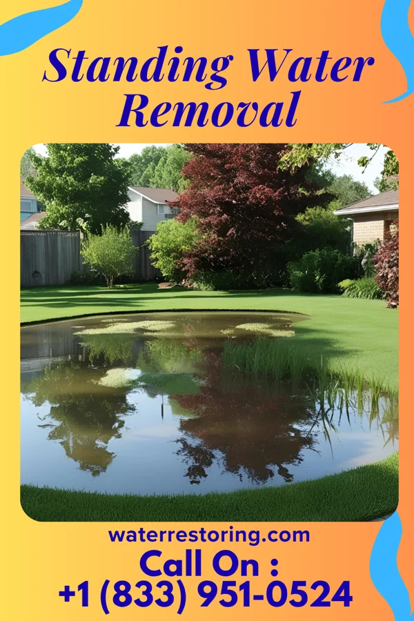 Standing Water Removal in East Grand Forks, MN
